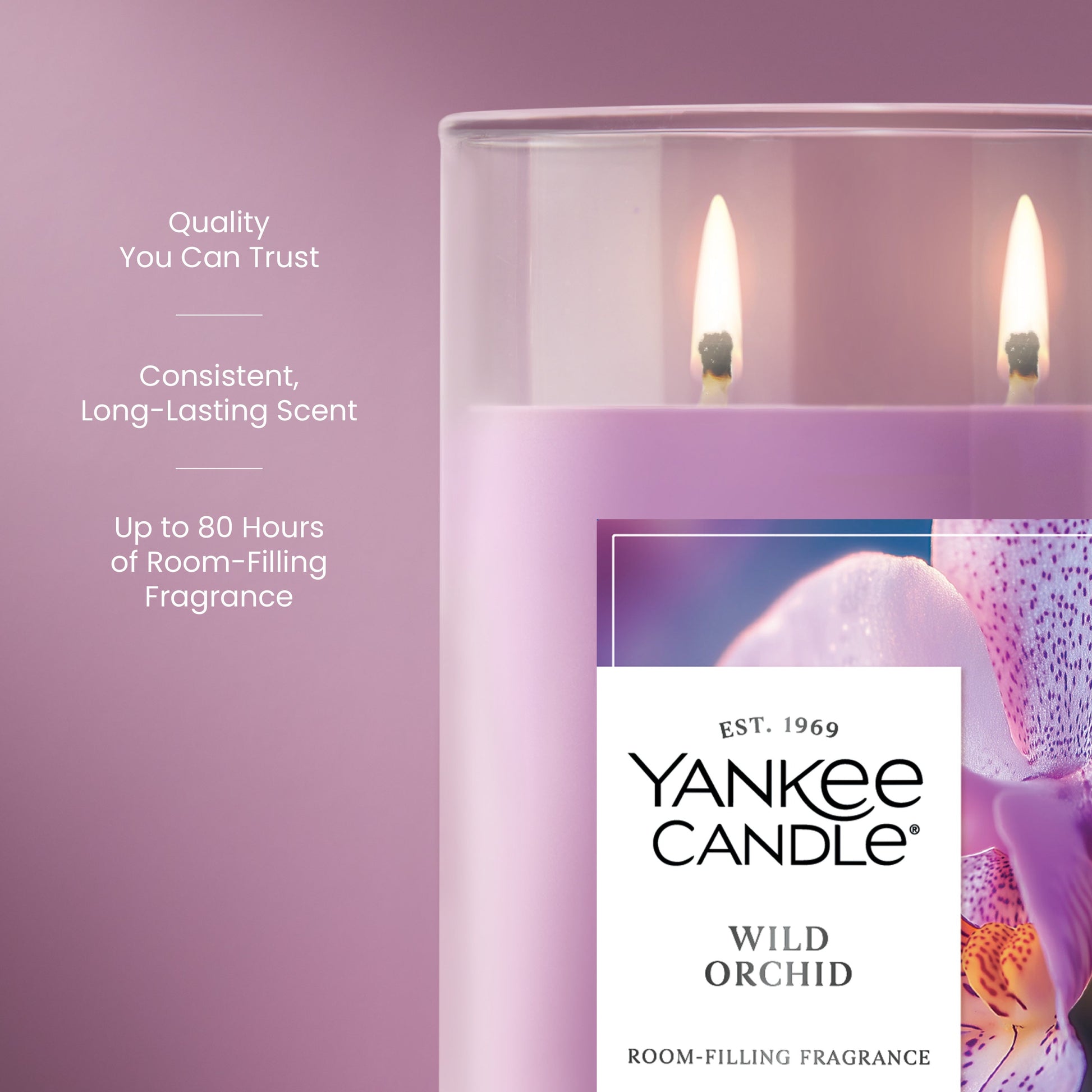 Wild Orchid
