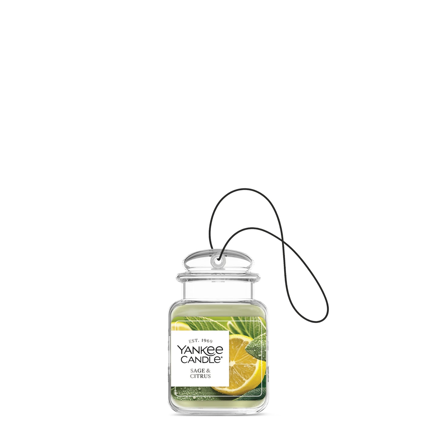 Sage & Citrus Studio 1-0335