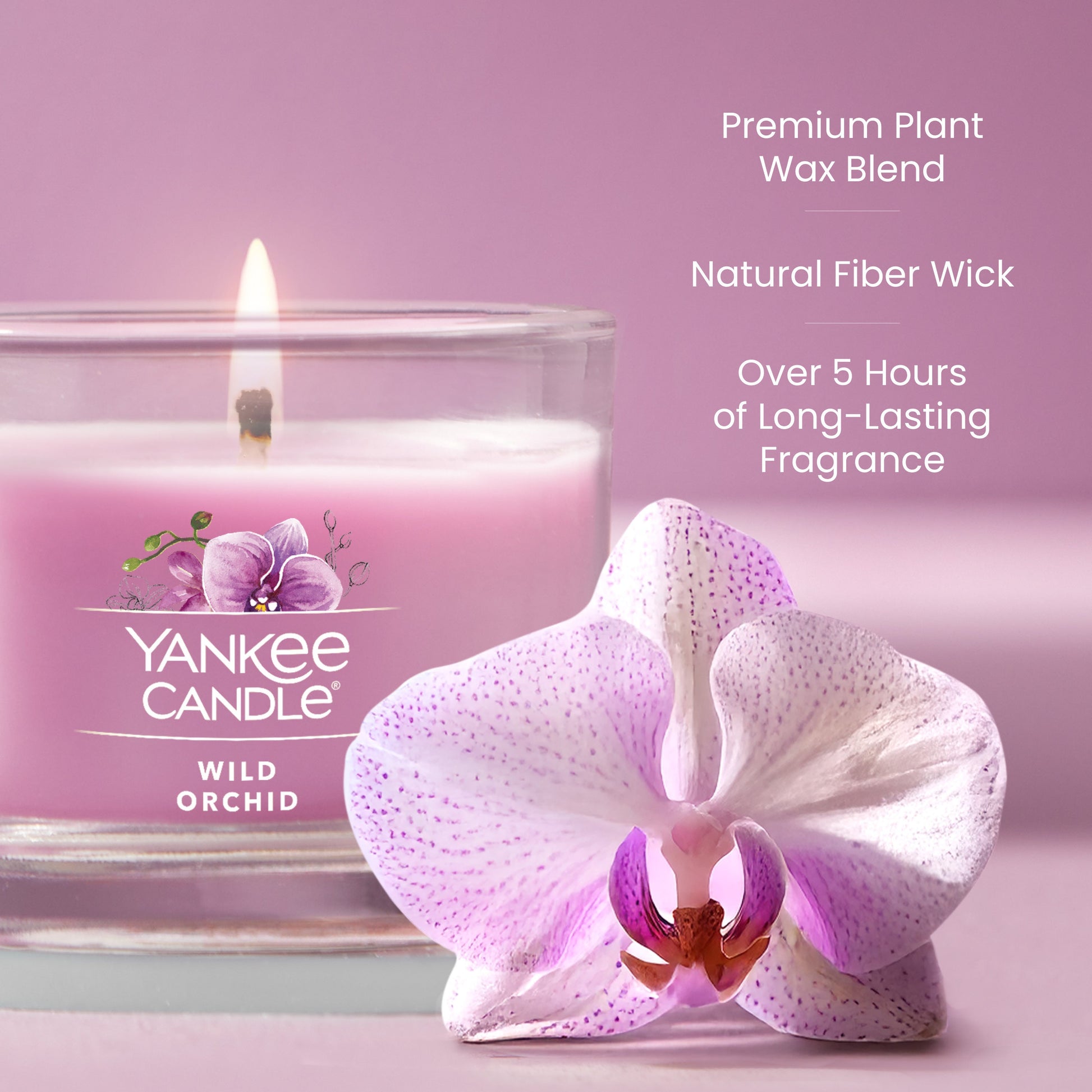 Wild Orchid