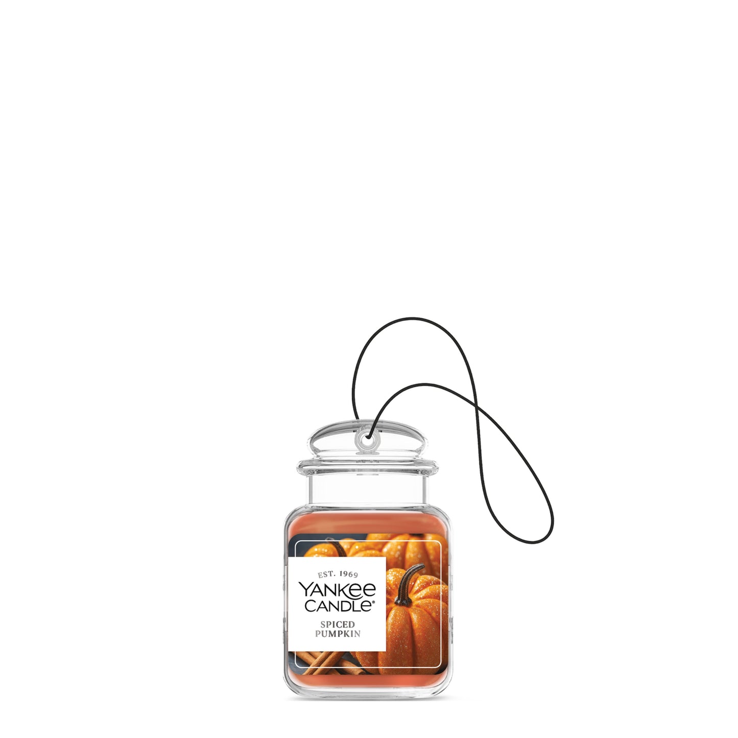 Spiced Pumpkin Series 1-0292