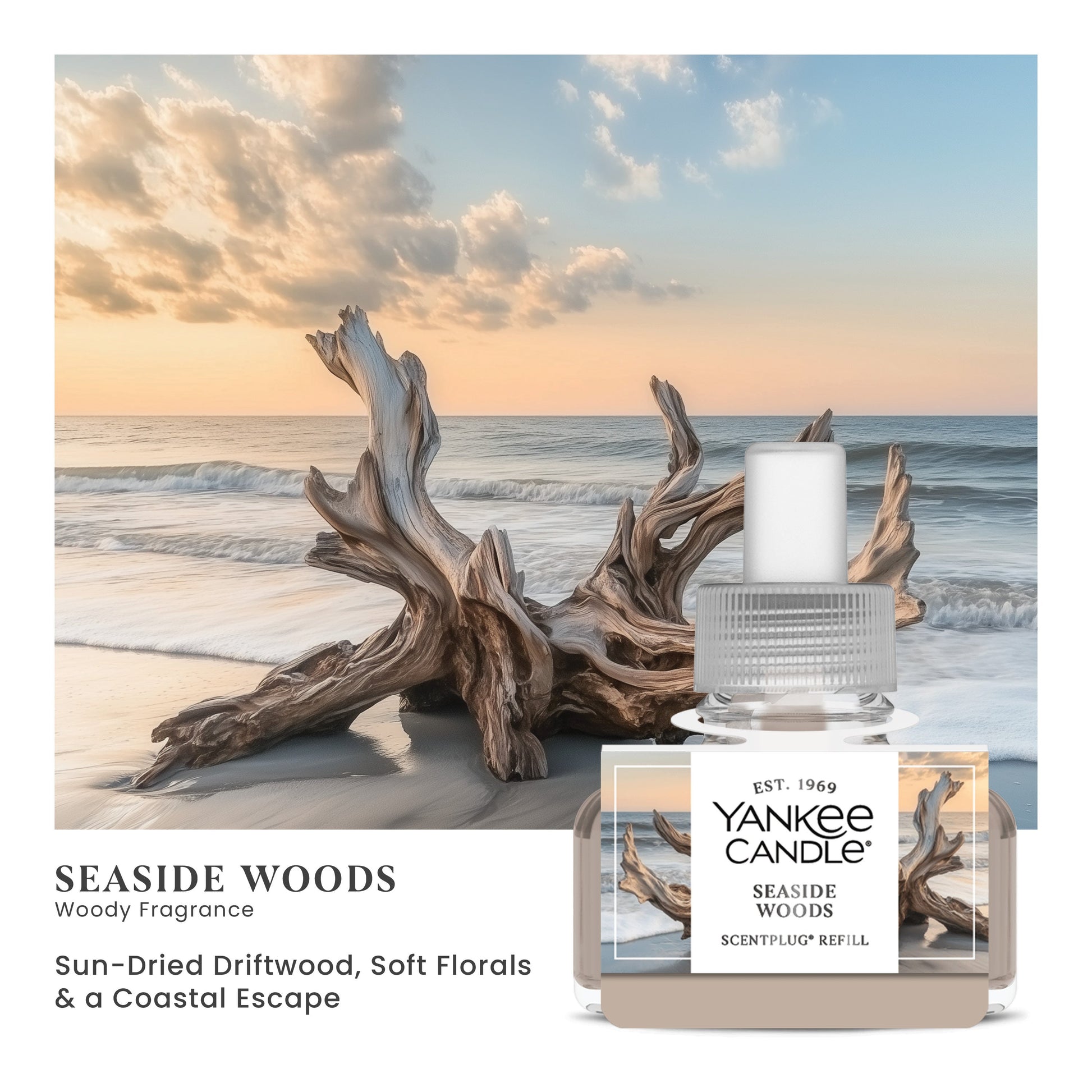 Seaside Woods