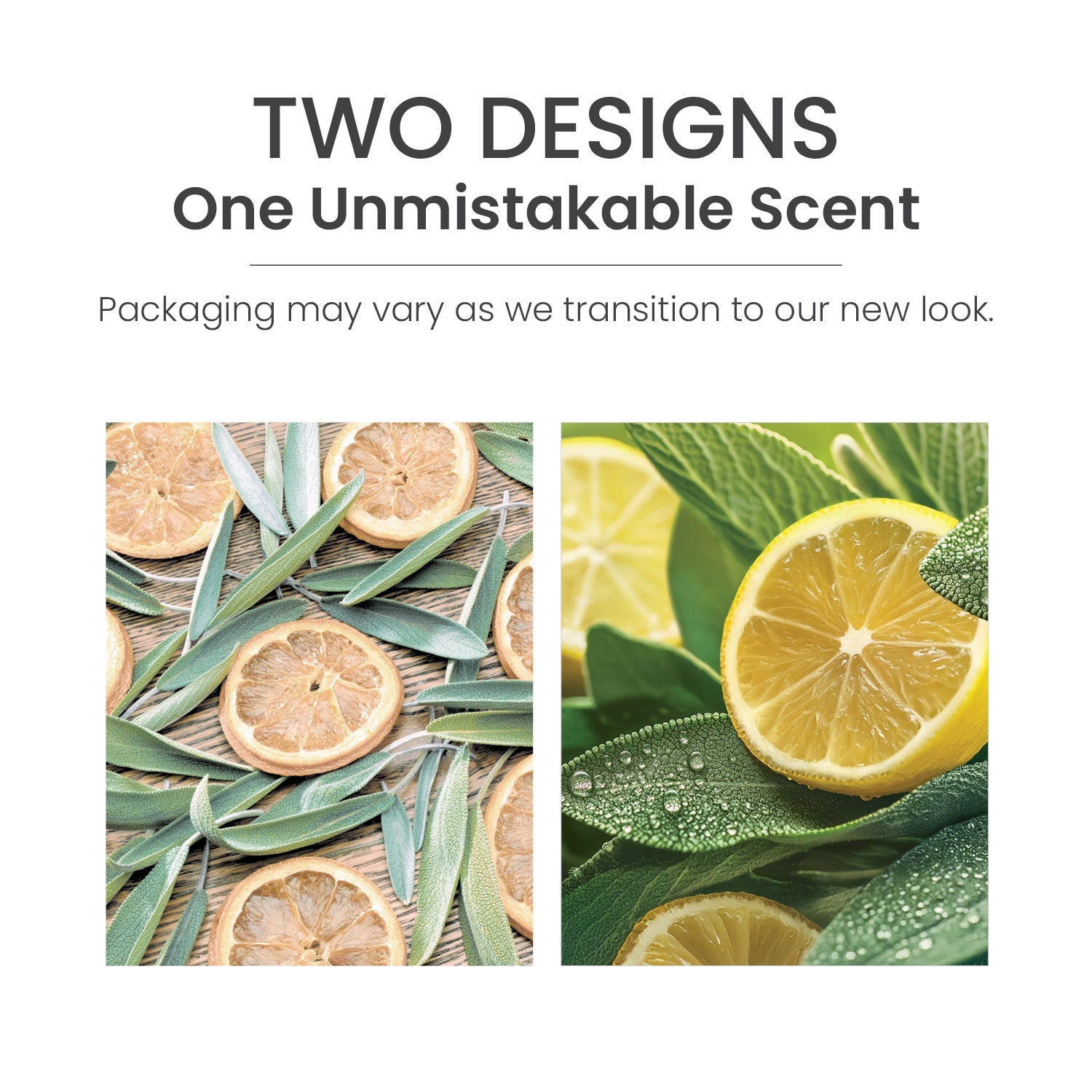 Sage & Citrus