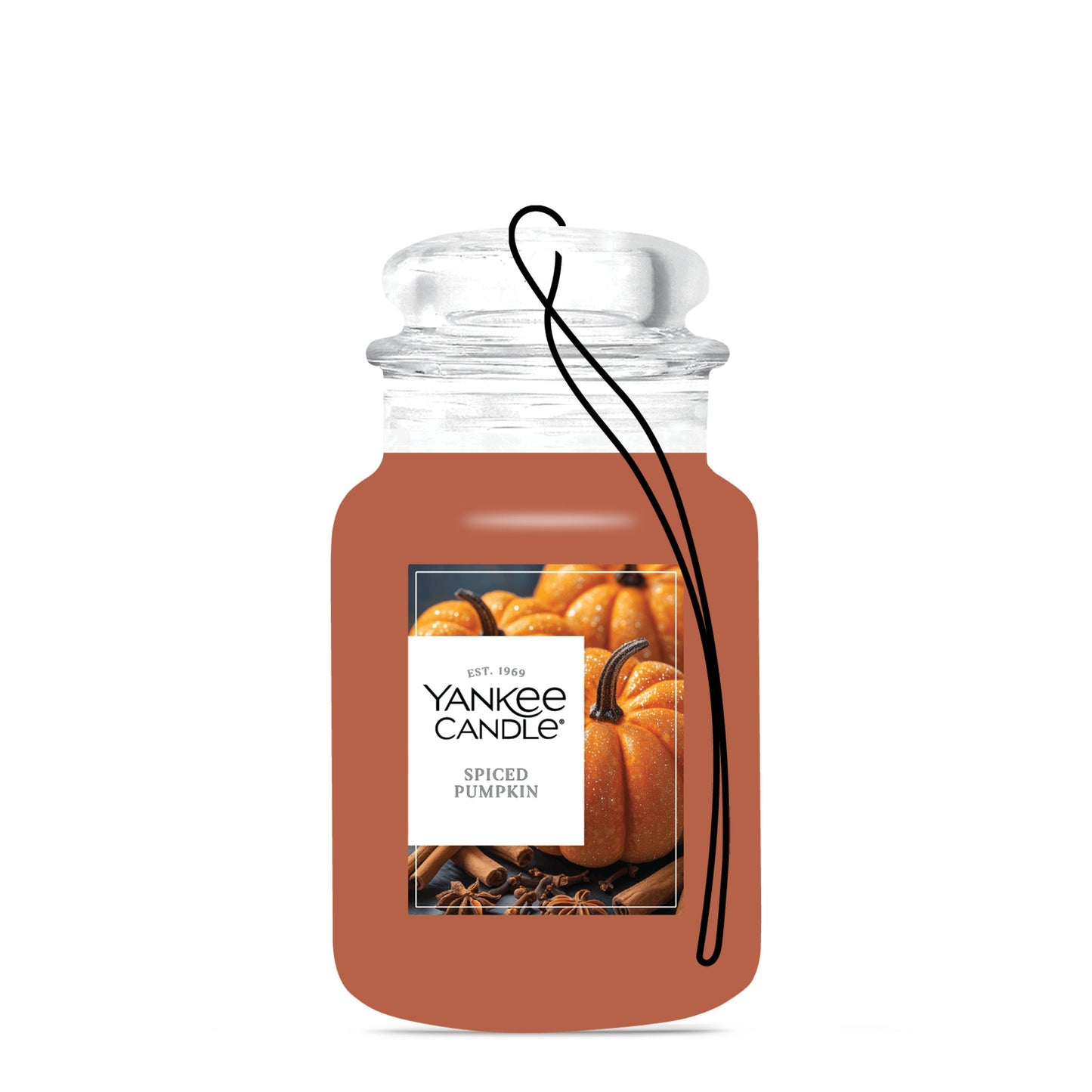 Spiced Pumpkin Series 1-0782