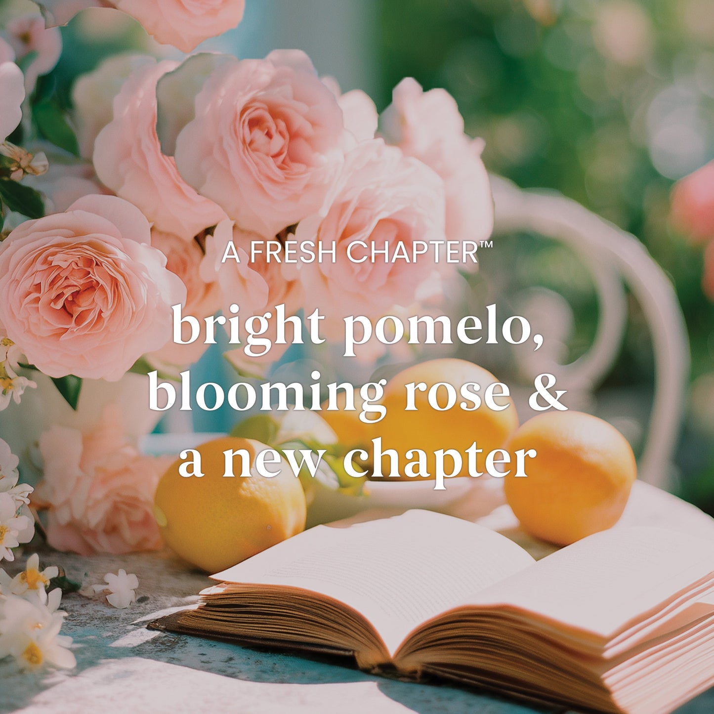 A Fresh Chapter